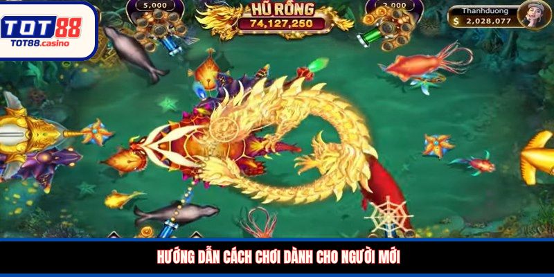 Hướng dẫn cách chơi dành cho người mới